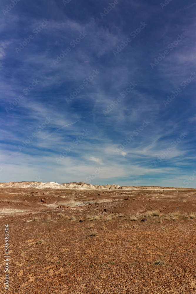 Blue sky dominates the landscape, Petrified National Forrest, AZ, USA Blue sky dominates the landscape, Petrified National Forrest, AZ, USA