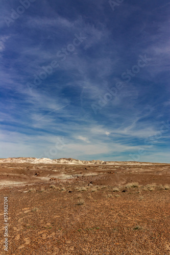 Blue sky dominates the landscape  Petrified National Forrest  AZ  USA
