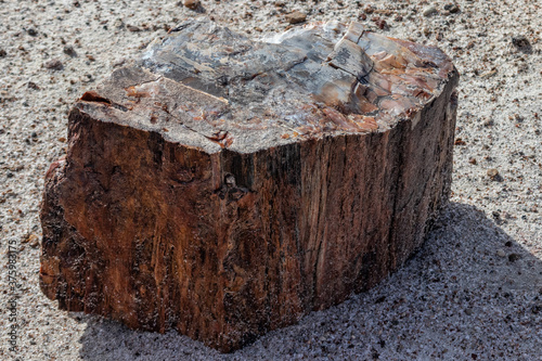 Large rock seasoned over million years of existence at the Petrified National Forrest, AZ, USA photo