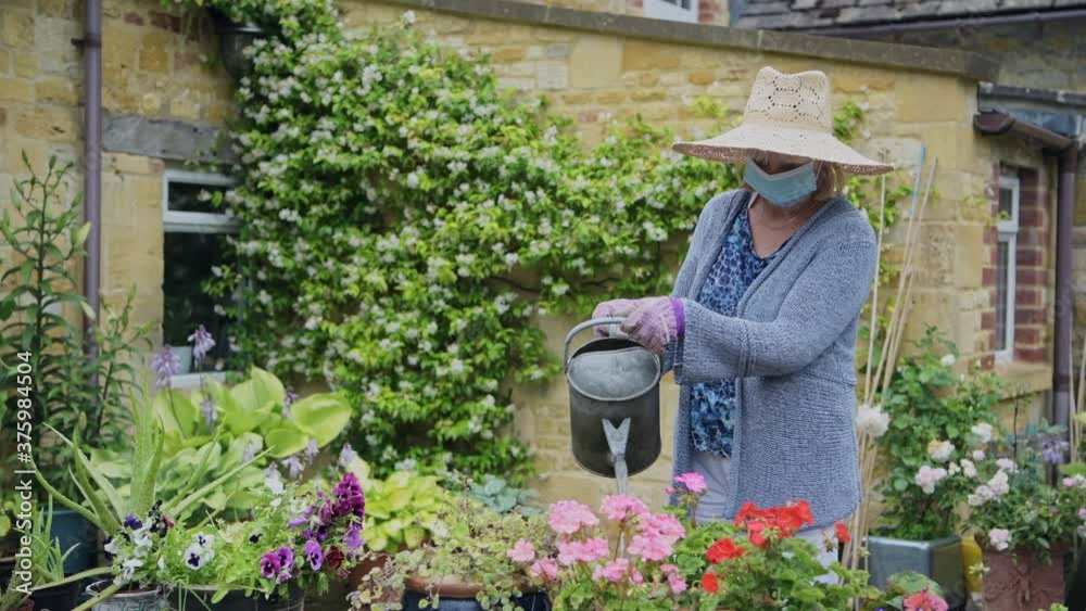 Adult woman watering her garden, gardening during coronavirus pandemic lockdown and wearing face mask Adult woman watering her garden, gardening during coronavirus pandemic lockdown and wearing face mask