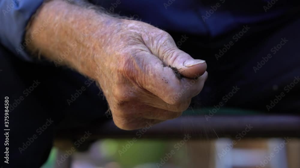 Shot Of old mans Hand Grabbing The Soil And Letting It Fall Back to the ground. Checking The Quality Of The Soil