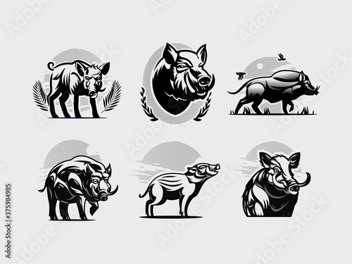 Collection of wild boars.
