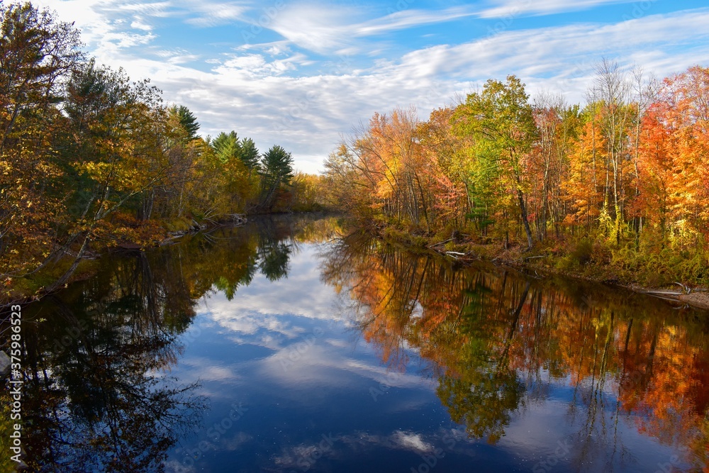 autumn trees reflected in water