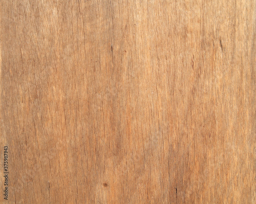 texture and pattern of wood panel, background for text or image