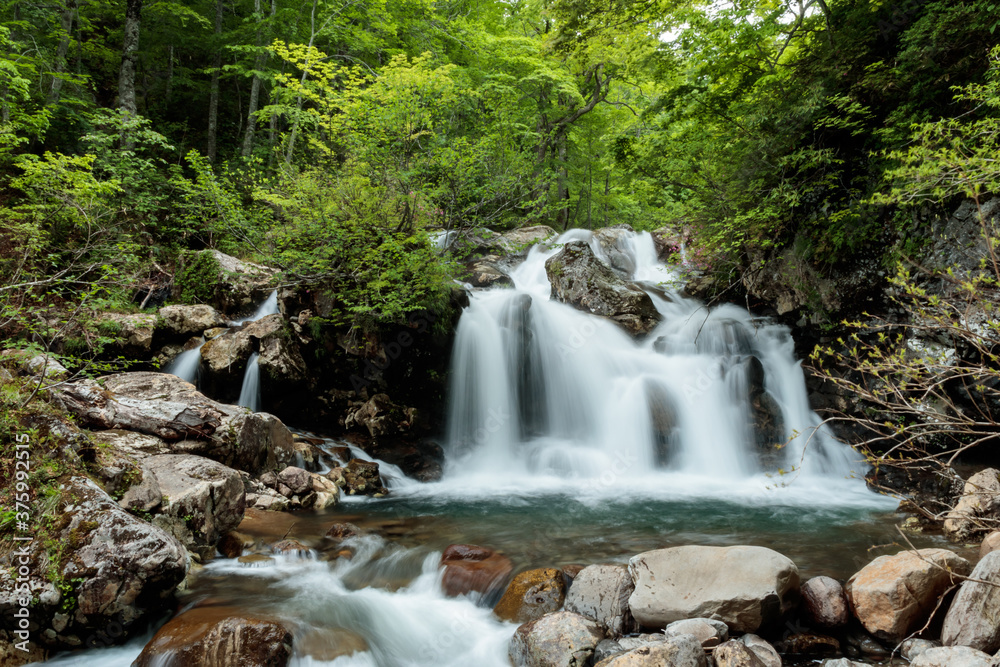 Fototapeta premium waterfall in the forest