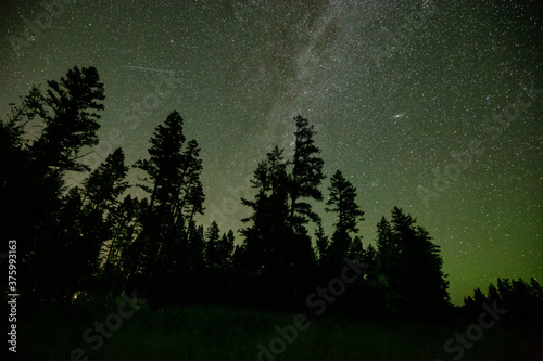 Milky Way, Stars and Aurora Lights Glowing during a Night Sky. Taken in Northern British Columbia, Canada. Trees in Forest
