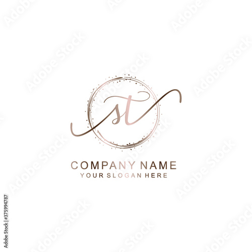 ST Initial handwriting logo template vector