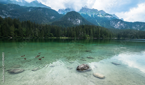 piscina naturale