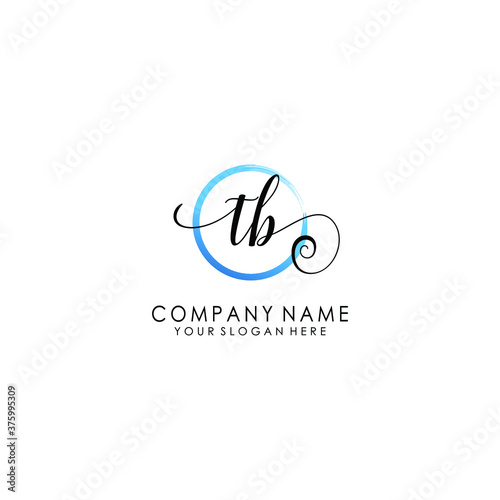 TB Initial handwriting logo template vector 