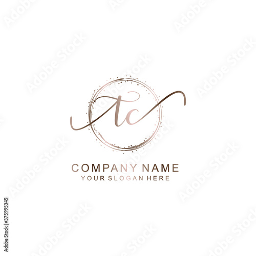 TC Initial handwriting logo template vector
