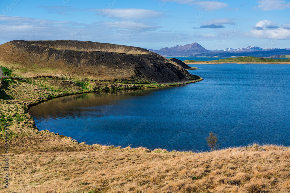 The volcanic craters and lake landscape in Myvatn area, in Iceland, during summer time.