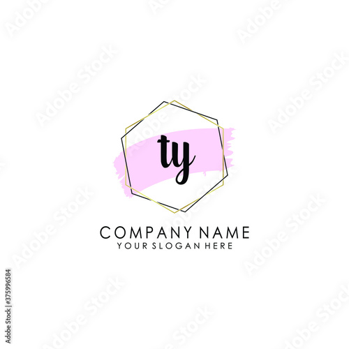 TY Initial handwriting logo template vector 
