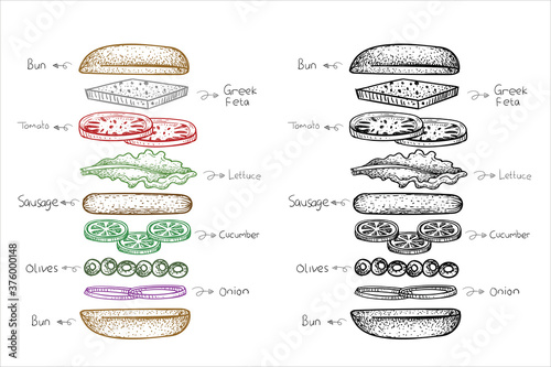 vector hot dog ingredient in hand drawn style