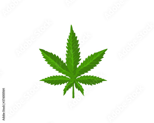 Green Cannabis leaf vector isolated on white