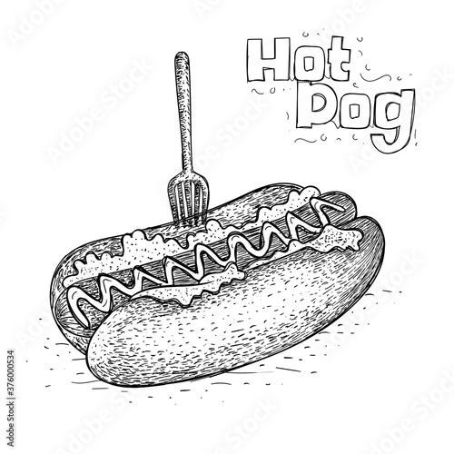 hot dog vector, hand drawn food illustration