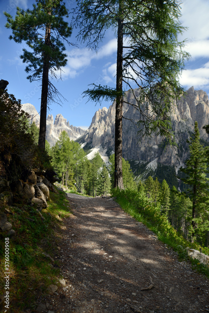 View of the Italian Dolomites through trees along a hiking trail