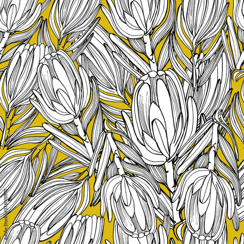 Coloring pattern with African Proteus flowers. Big beautiful flower. Dried flowers, decorated. Coloring book for children and adults with gentle proteas. For textiles, wallpaper, packaging. 