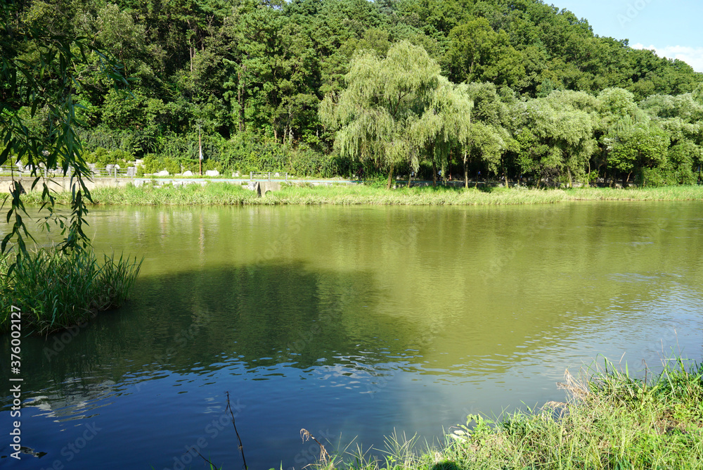 the autumn morning scenery of the stream the autumn morning scenery of the stream