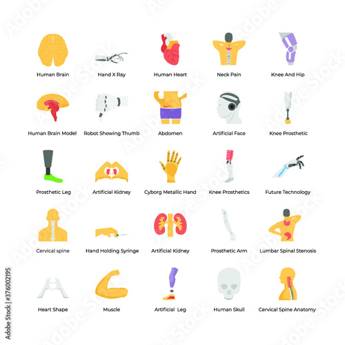Set Of Orthopedic Prosthesis Medical Implants Artificial Body Parts 