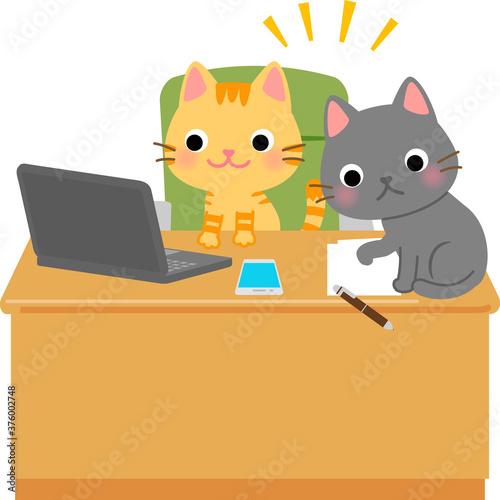 仕事中のデスクに乗って遊ぶ猫