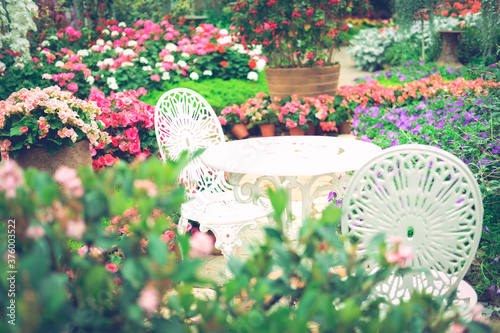 white metal seat chair in flower garden park