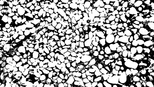 Texture of a pebble beach with smooth rocks