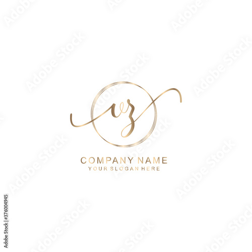 VZ Initial handwriting logo template vector
