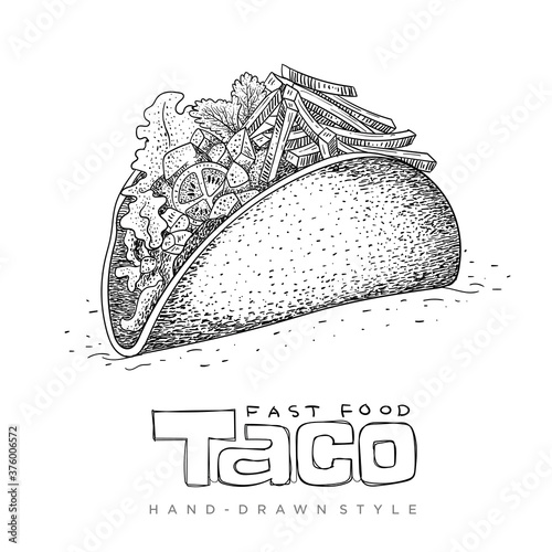 taco vector, fast food illustration in hand drawn style