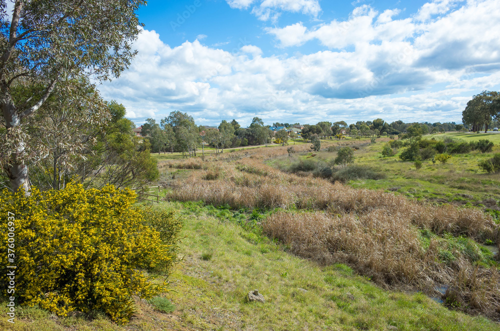Beautiful environment/landscape around a waterway with many Australian native plants, a pedestrian footpath and some residential houses in the distance. Skeleton Waterholes Creek, Melbourne, Australia Beautiful environment/landscape around a waterway with many Australian native plants, a pedestrian footpath and some residential houses in the distance. Skeleton Waterholes Creek, Melbourne, Australia