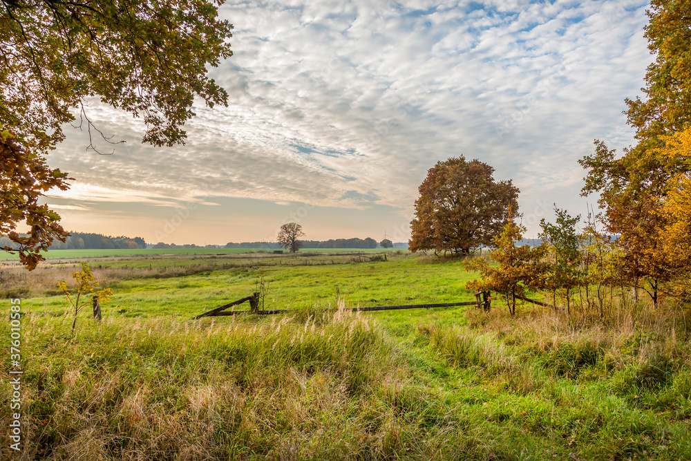 Fototapeta premium Rural Idyllic Autumn Landscape In Germany