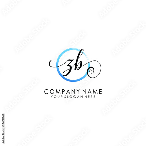 ZB Initial handwriting logo template vector 
