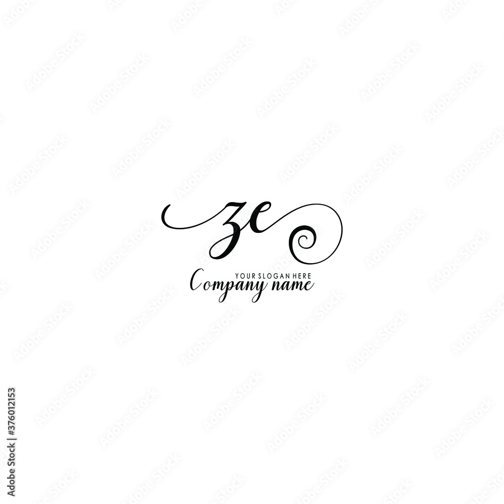 ZE Initial handwriting logo template vector
