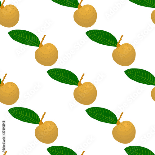 Illustration on theme big colored seamless longan