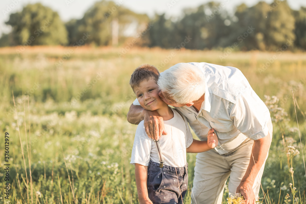 family, generation, communication and people concept - happy grandfather kisses his grandson at summer meadow family, generation, communication and people concept - happy grandfather kisses his grandson at summer meadow
