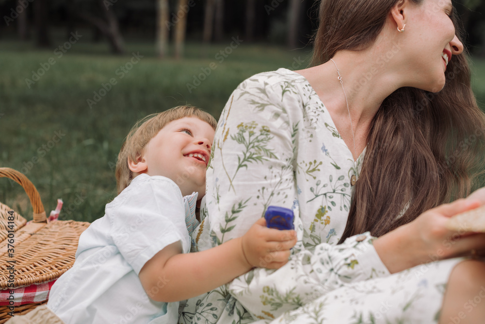 Family picnic in the park. Mother with her little pretty son playing on blanket on the grass at countryside. Family picnic in the park. Mother with her little pretty son playing on blanket on the grass at countryside.