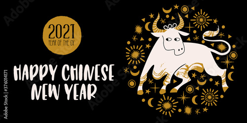 Chinese new year 2021 year of the ox, vector illustration, greeting card, banner.