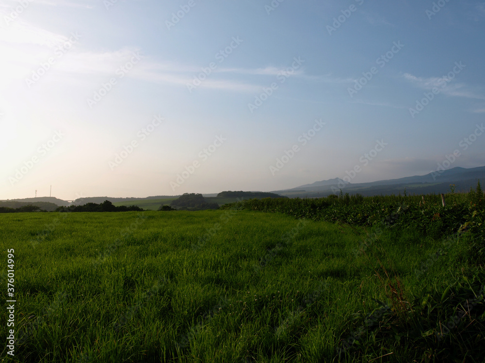北海道の牧草地