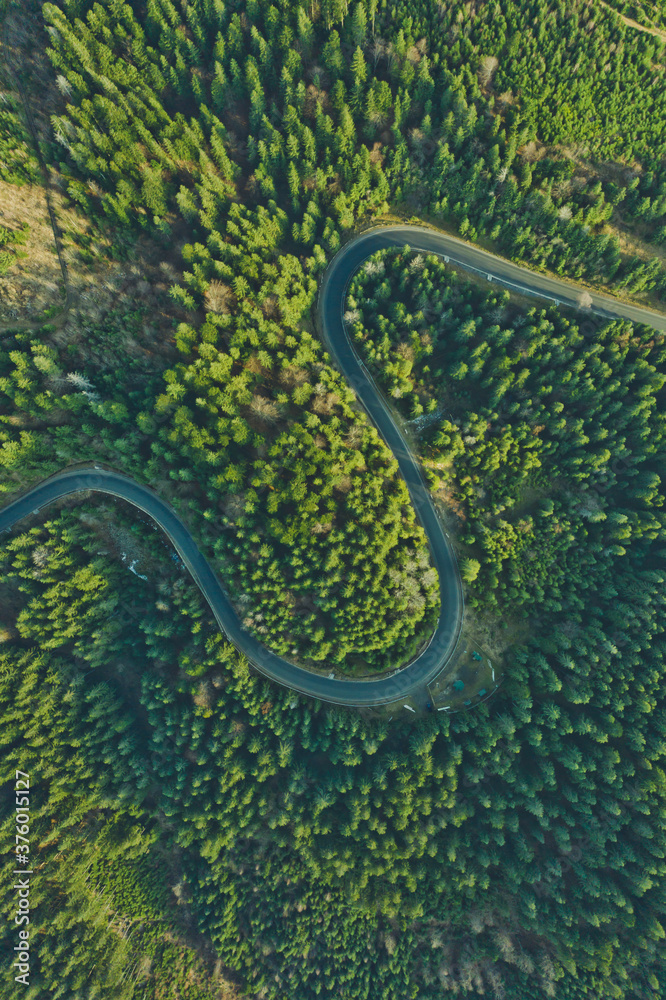 Curved aerial road from a drone. Forest asphalt road in the mountains near pine and spruce