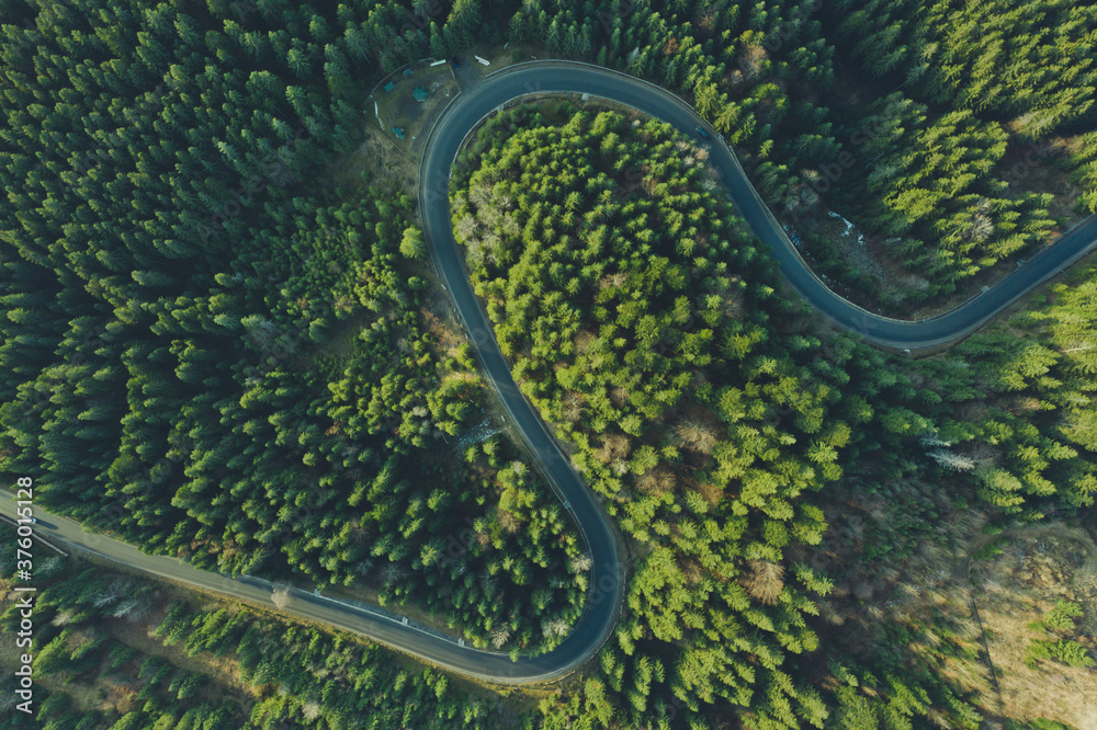 Curved aerial road from a drone. Forest asphalt road in the mountains near pine and spruce