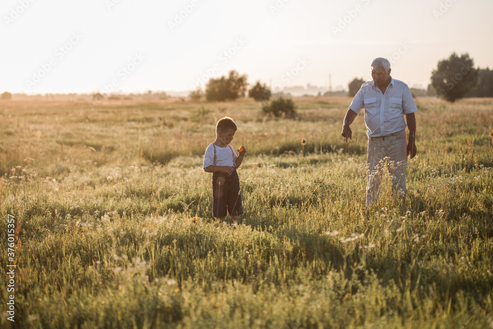 Happy senior man Grandfather with cute little boy grandson playing in field. Happy child with Grandfather playing outdoors