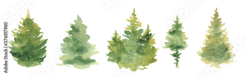 Watercolor Christmas pine tree green forest Hand drawn illustration