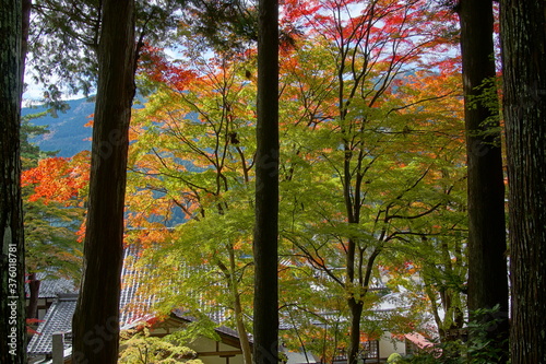 Scenery of Gero Onsen at Autumn in Gifu  Japan