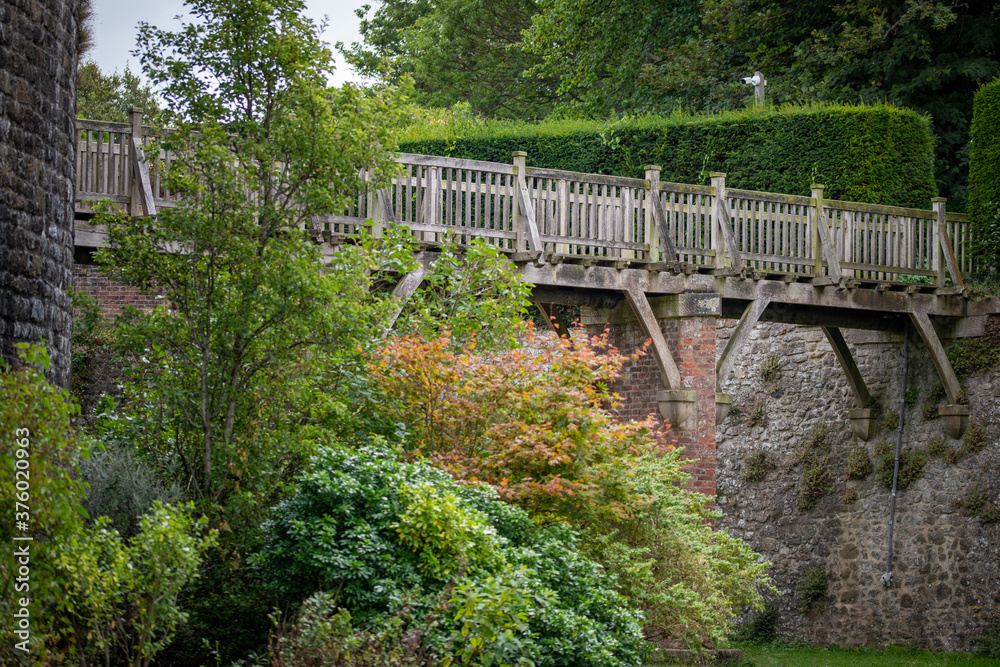 Obraz premium bridge over the river