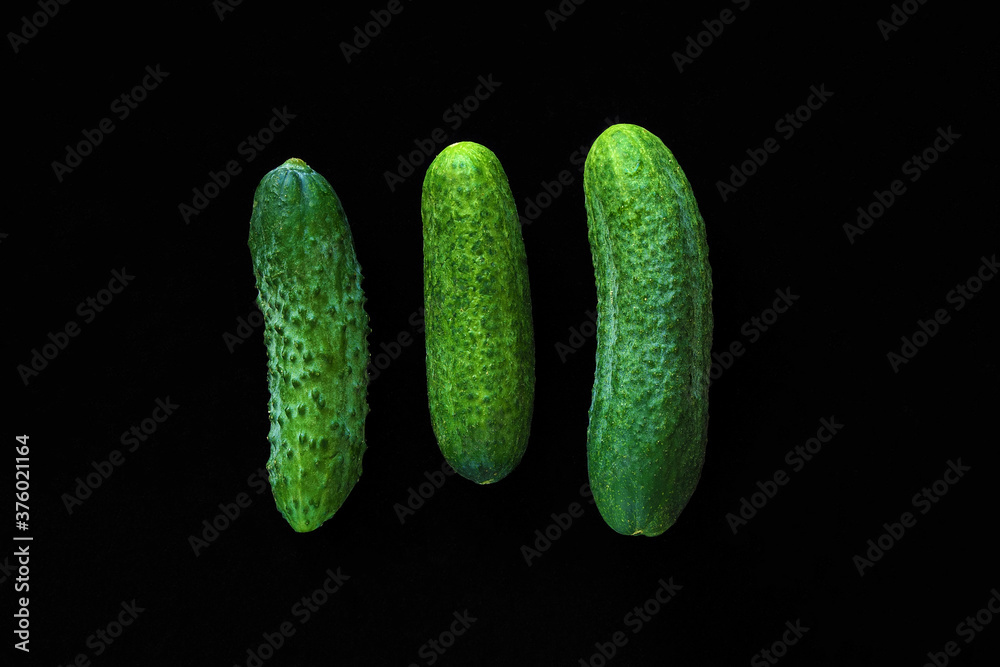 Ripe green cucumber on a black background. Ripe green cucumber on a black background.