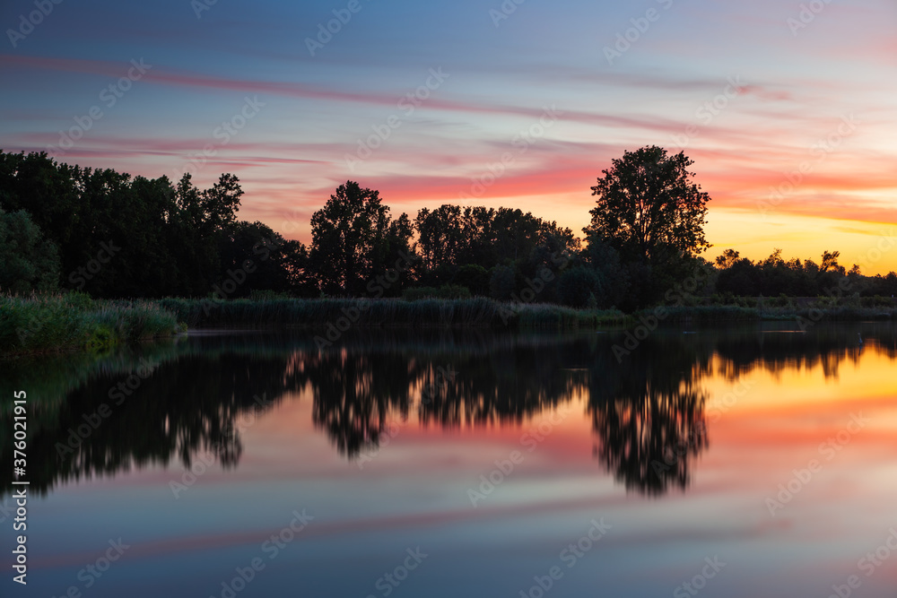 Trees at sunrise at the lake