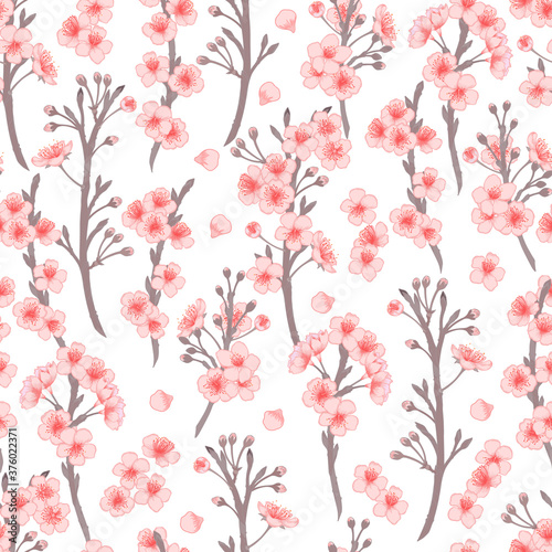 Vector cherry flowers and buds seamless pattern. Pink blooming flowers background