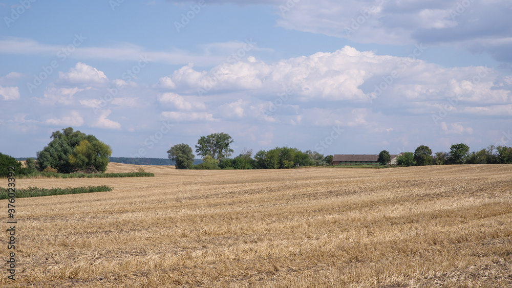 Harvested fields in Brandenburg