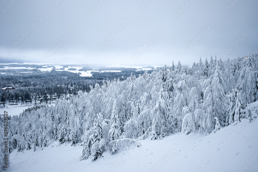 Obraz premium Winter landscape with forests in Tahko, Finland