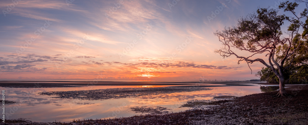 Golden Panoramic Seaside Sunrise with Mangroves Golden Panoramic Seaside Sunrise with Mangroves