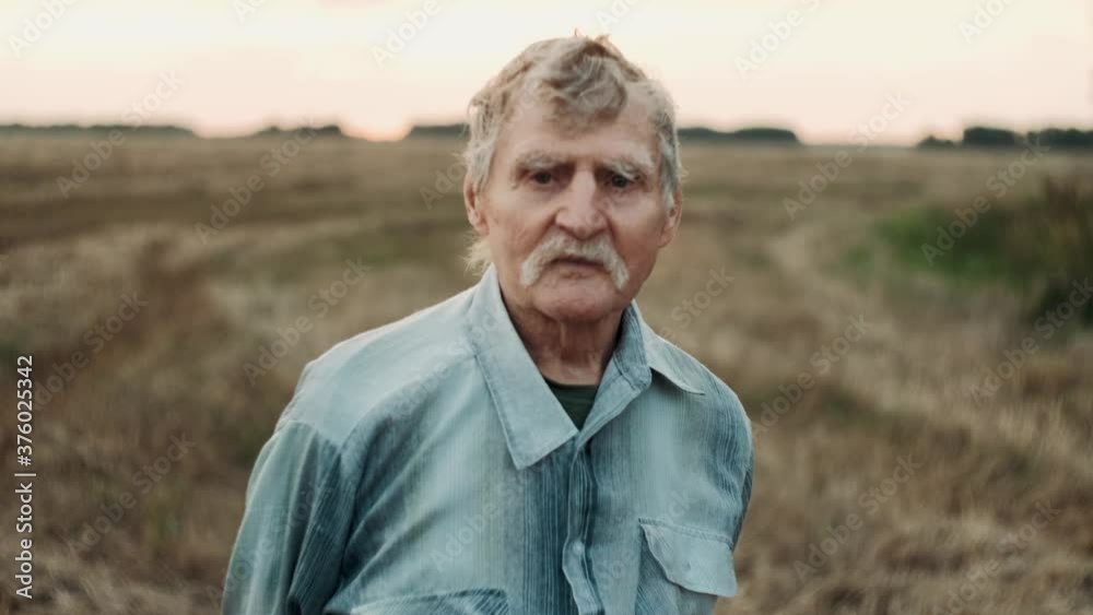 Close up portrait of senior smile man with beard looking to the camera in the golden field on the blue sky background sunny day. Face Happy Farmer Worker summer nature Farming Real people Concept
